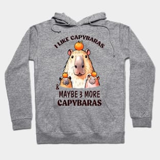 I Like Capybaras & Maybe 3 More Capybaras Hoodie